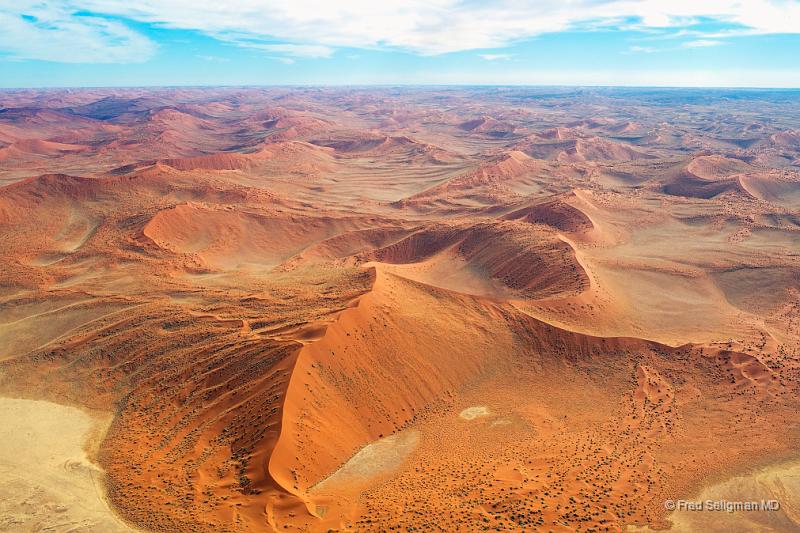 20090602_115426 D3 X1 X1.jpg - The difference in color from dune to dune is better appreciated from the air